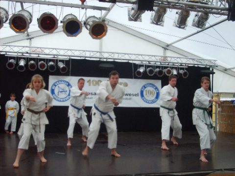Karateaufführung