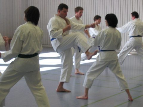 Lehrgang Sensei Scheurick