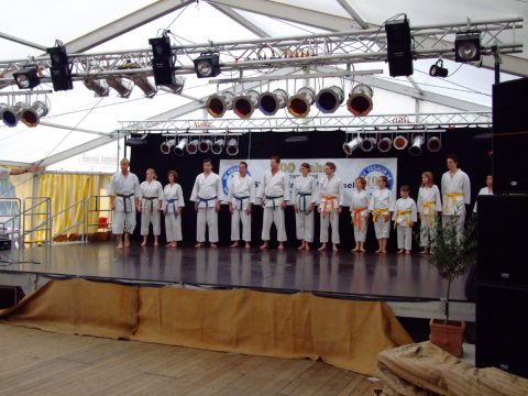Karateaufführung