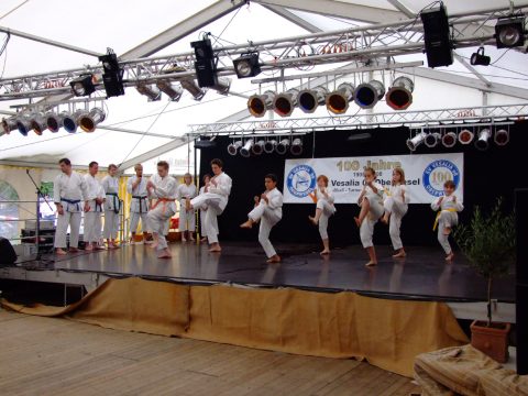 Karateaufführung