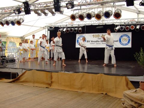 Karateaufführung